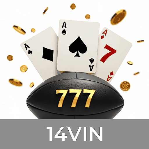 Descubra os Bônus e Ofertas Exclusivas no 14VIN